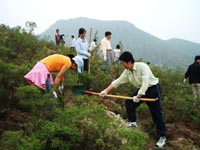 東芝（中國）2007年度公益植樹助學活動